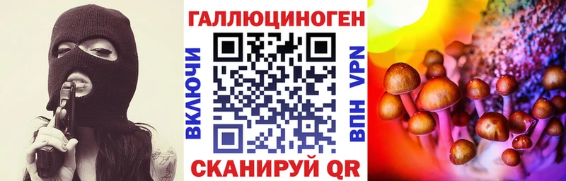 наркошоп  Электросталь  Псилоцибиновые грибы GOLDEN TEACHER 