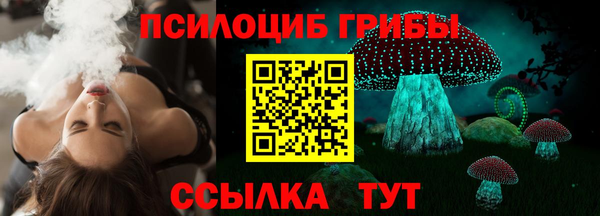 Псилоцибиновые грибы мицелий Электросталь
