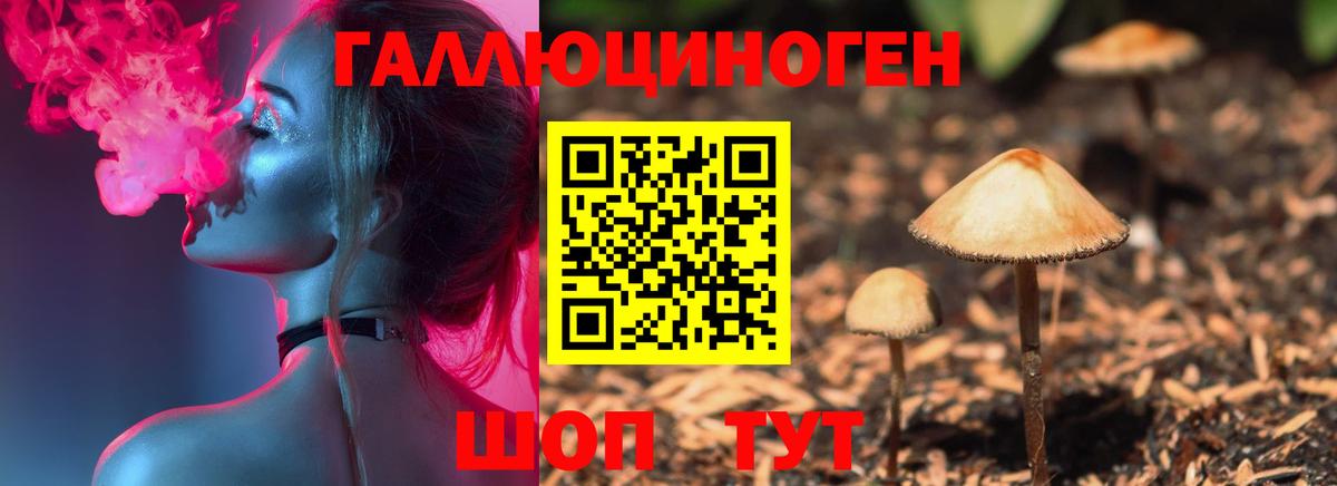 где купить наркотик  Вход с VPN  Электросталь  Галлюциногенные грибы GOLDEN TEACHER 